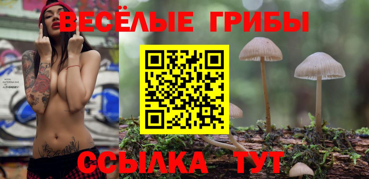 Галлюциногенные грибы Psilocybine cubensis Мыски